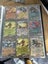 Pokemon cards in order of ars, srs, sars, masterballs, pokeballs, ex Carousel 7