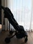Stroller Carousel 4