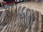 New Single Natural Grey Real NZ Possum Full Fur Throw - No Reserve! - B6509 Carousel 3