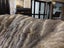 New Single Natural Grey Real NZ Possum Full Fur Throw - No Reserve! - B6509 Carousel 4