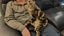 CAT RESCUE CHCH - Ready For Adoption Jordy Carousel 5