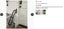 New Handrail for Stairs Clearance Sale Carousel 10