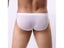 Hot Sale Men Breathable Ice Silk Triangle Underpants Perspective Erotic Sexy Carousel 4