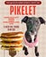 Pikelet-Pukekohe Adoption Centre Carousel 1