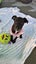 Pikelet-Pukekohe Adoption Centre Carousel 6