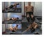 Door Gym Pull Up Brand New Carousel 9