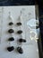 Black onyx boho earrings Carousel 1