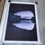 Loading Image 2 of 2