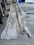 235 cm Solid Black Maire Slab – Clearance Carousel 10