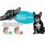 New Anti Bark Dog Collar on Afterpay Carousel 8