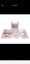 SOFTPLAY PACKAGES FOR SALE Carousel 4