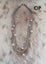 BULK Necklace Clear-Out - all are in excellent condition Carousel 1