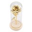 rose flower with glass cover Preserved Rose Flower LED Light with Glass Cover Carousel 2