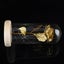 rose flower with glass cover Preserved Rose Flower LED Light with Glass Cover Carousel 6