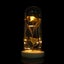 rose flower with glass cover Preserved Rose Flower LED Light with Glass Cover Carousel 7