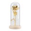 rose flower with glass cover Preserved Rose Flower LED Light with Glass Cover Carousel 8