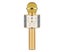 5-in-1 Portable Wireless Bluetooth Karaoke Microphone - Rose Carousel 5
