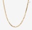 Michael Hill - 10KT Yellow Gold Diamond Cut Chain 22"/55cm Carousel 1