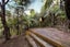 gallery view thumbnail