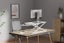 Stand-up Desk RIser Carousel 5