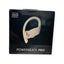 Beats Powerbeats Pro Wireless Carousel 1