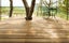 TEAK BLANKS - 45 x 24mm - 123m - TS8047 Carousel 19