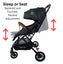 The Glide - Compact Travel Stroller and Capsule Car Seat Combo with Pull Handle Carousel 5