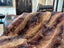 New Single Natural Brown Real NZ Possum Full Fur Throw - No Reserve! - B6510 Carousel 5