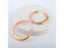 Fashion Bohemia Acrylic Acetate Vintage Leopard Print Alloy Hoop Earrings For Carousel 6