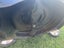 Masport mower Carousel 3