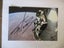 Felix Baumgartner "Skydiver/ Extreme Sportsman" signed Photograph Carousel 4