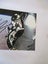 Felix Baumgartner "Skydiver/ Extreme Sportsman" signed Photograph Carousel 5