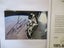 Felix Baumgartner "Skydiver/ Extreme Sportsman" signed Photograph Carousel 6