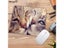 Mairuige Cute Cat Office Mice Gamer Soft Speed Mouse Pad Size For 18X22CM Carousel 5