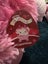 Squishmallows Caparinne Carousel 2