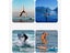 Paddle Board Local Clearance Carousel 7