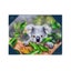 Loading Image 2 of 2