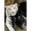 Diamond Painting Art Kit Carousel 1