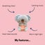 The Comfort Koala(TM) Carousel 5