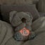 The Comfort Koala(TM) Carousel 8