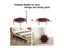 Rebounder Trampoline New Carousel 6