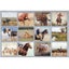 Legacy 2026 Calendar Home on the Range Calender Fits Wall Frame Carousel 2