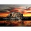 Diamond Painting Art Kit Carousel 12