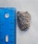 #1 - Botroyoidal chalcedony (grade agate ) Carousel 6