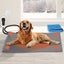 Pet Heated Mat Small Carousel 7