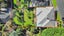gallery view thumbnail