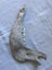 Cow Jaw Bones x2. 38cm long Carousel 5