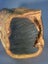 QUEEN EBONY / TUBI - 110mm x 105mm x 2.3m - TS8085 Carousel 5