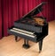 QUEEN EBONY / TUBI - 110mm x 105mm x 2.3m - TS8085 Carousel 16