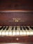 QUEEN EBONY / TUBI - 110mm x 105mm x 2.3m - TS8085 Carousel 18